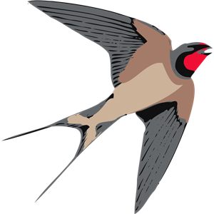 Swallow PNG-67352